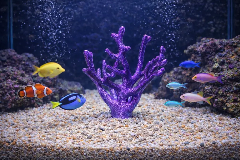 Aquarium Decoration - Custom underwater themed piece